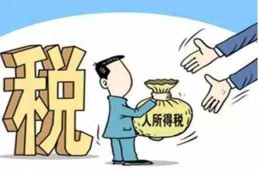 下载个人所得税的好处和坏处_app个人所得税下载2024