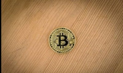 币圈公认最安全的冷钱包_2024有望翻十倍的低价股
