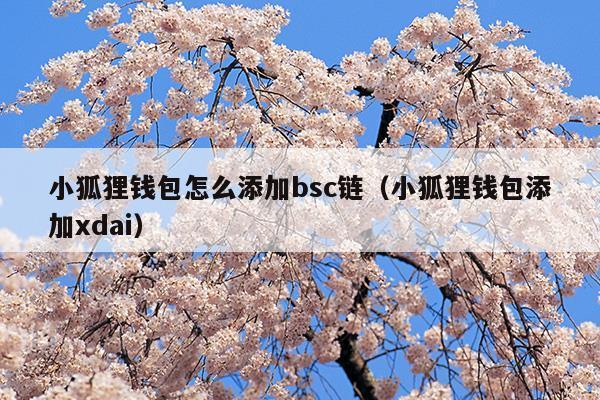 如何使用小狐狸钱包里的钱_如何使用小狐狸钱包里的钱支付