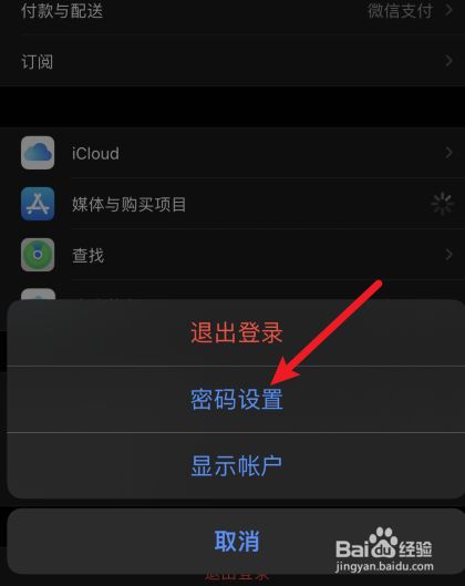 苹果手机下载需要密码怎么设置_苹果手机下载需要密码怎么设置苹果6