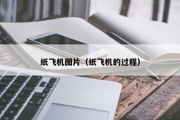 国内怎么使用纸飞机APP的简单介绍