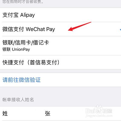 苹果手机用梯子怎么用微信支付_苹果手机用梯子怎么用微信支付不了