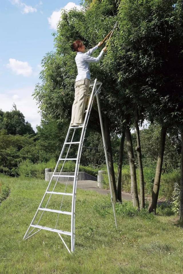 稳定付费梯子手机可以用吗_稳定付费梯子手机可以用吗安全吗