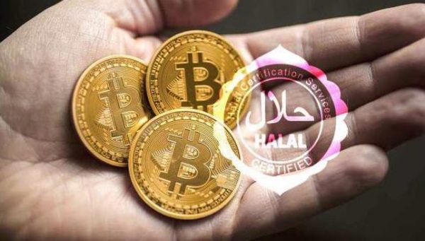 虚拟币就是下载局_虚拟币下载什么软件