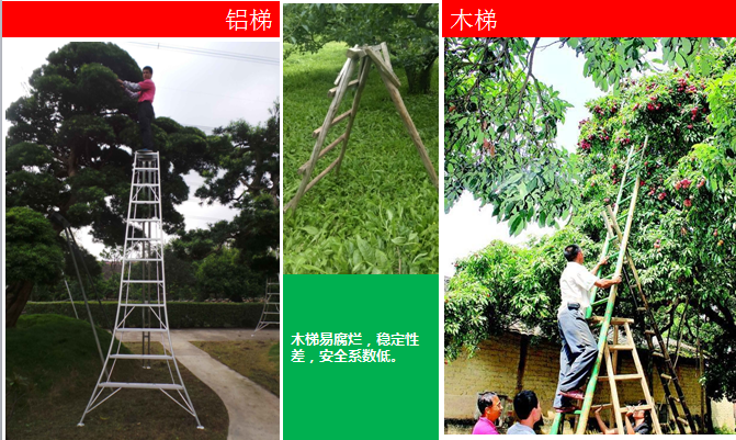 苹果用的免费梯子_苹果免费梯子哪个好用