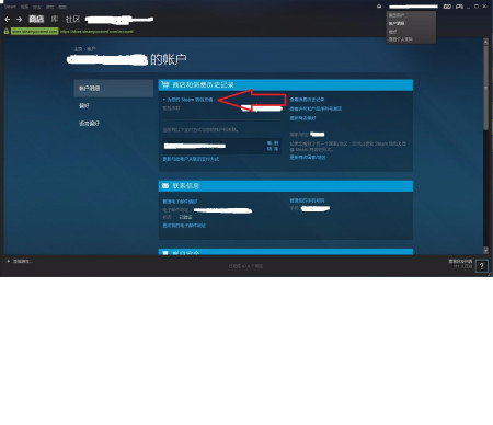 paypal钱包怎么充值_paypal怎么往里面充钱