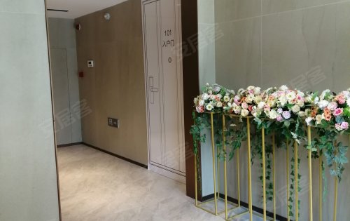 tp钱包中国官网楼客_tplink管理员官网