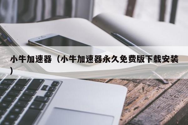 免费版的加速器都不好用了吧_免费版的加速器都不好用了吧怎么办