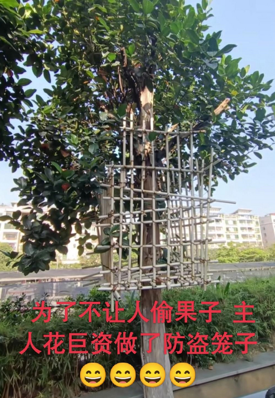 手机梯子用不了_手机梯子用不了了