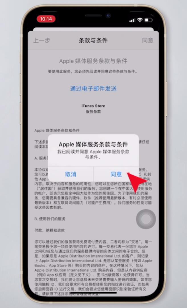 飞机汉化包怎么弄苹果_苹果版的飞机怎么汉化版
