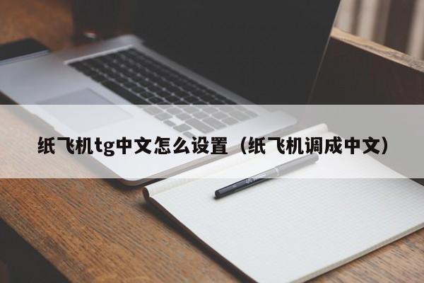 纸飞机怎么弄中文版本_纸飞机怎么设置中文版的