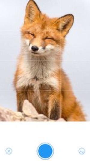 metamask中文名叫什么的简单介绍