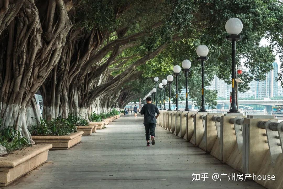 手机好用的梯子推荐知乎_手机好用的梯子推荐知乎软件