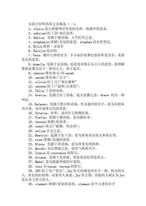 skype是啥意思人名_skype name是什么