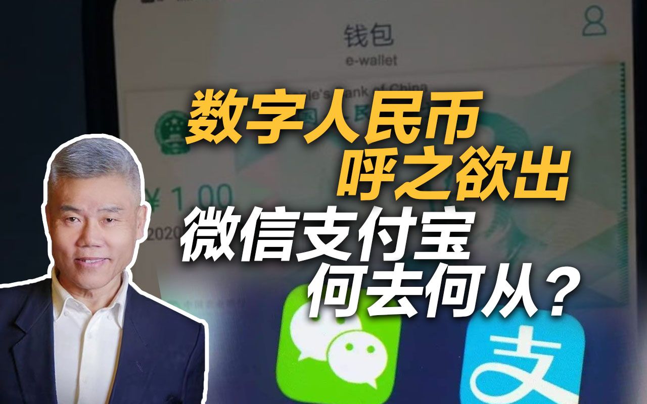 数字人民币和微信支付宝的区别_数字人民币和微信支付宝的区别和联系