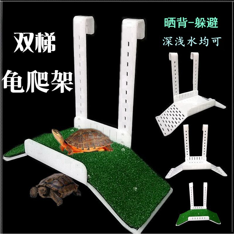 爬梯子用什么软件_爬梯子用什么软件比较好