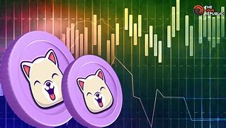 kishu币最新动态_kishu币最新消息网站