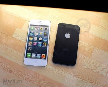 关于iphone有哪些好用的梯子的信息