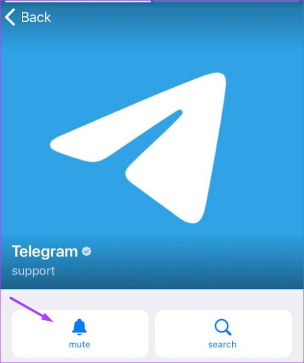 telegarm电脑版-telegram官方入口