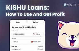 kishu币最新动态-kishu币最新消息网站