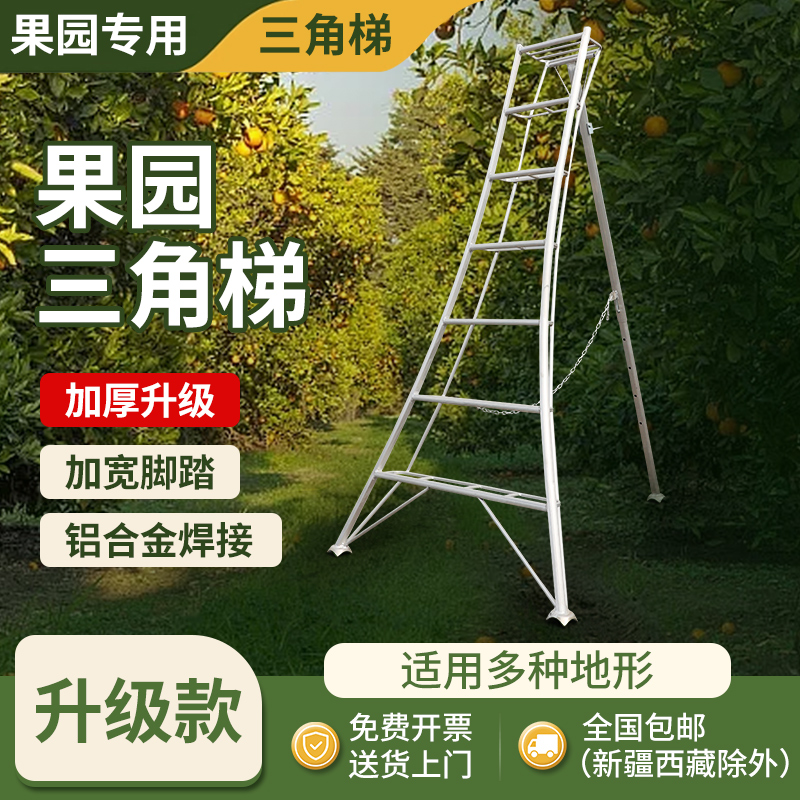 果园用的三角梯子-果园用的三角梯子尺寸