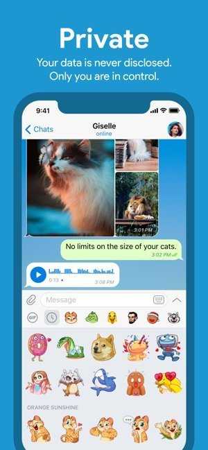 telegreat没有中文选项-telegreat中文版下载为什么没网络