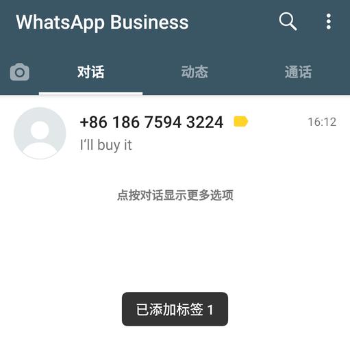 whatsapp官网手机版-whatsapp web download