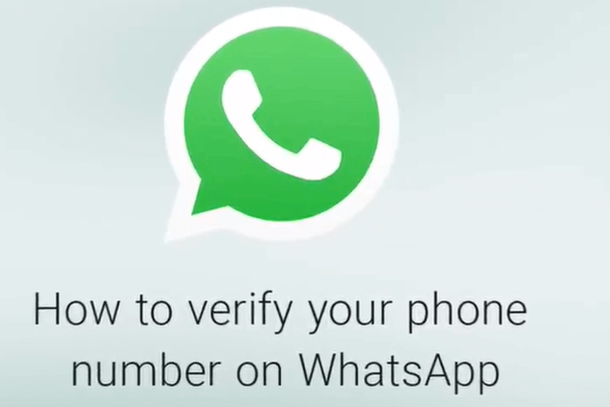 whatsapp官网下载-whatsapp官网下载最新版2024