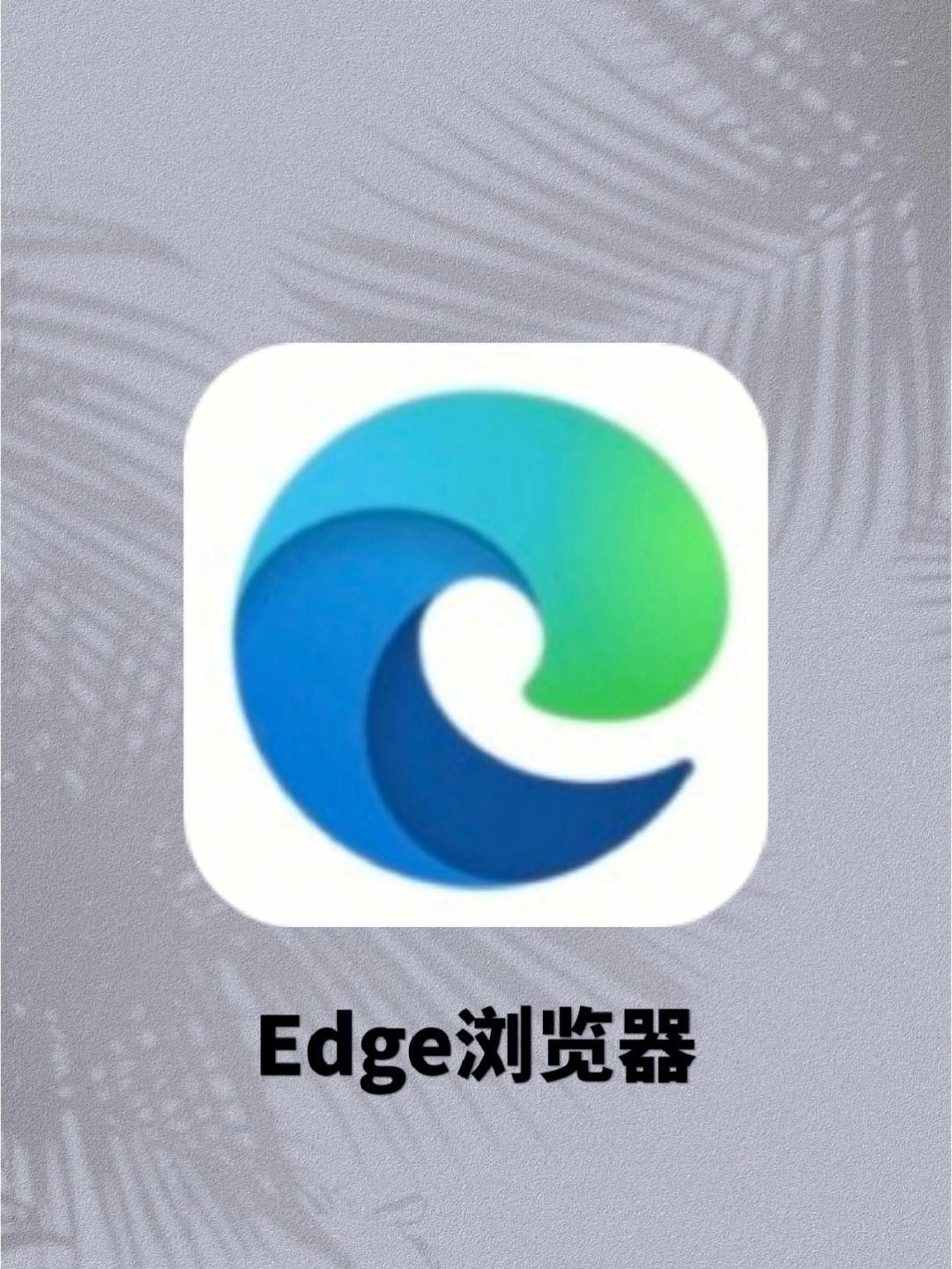 edge浏览器官网下载-edge浏览器官网下载地址pc版