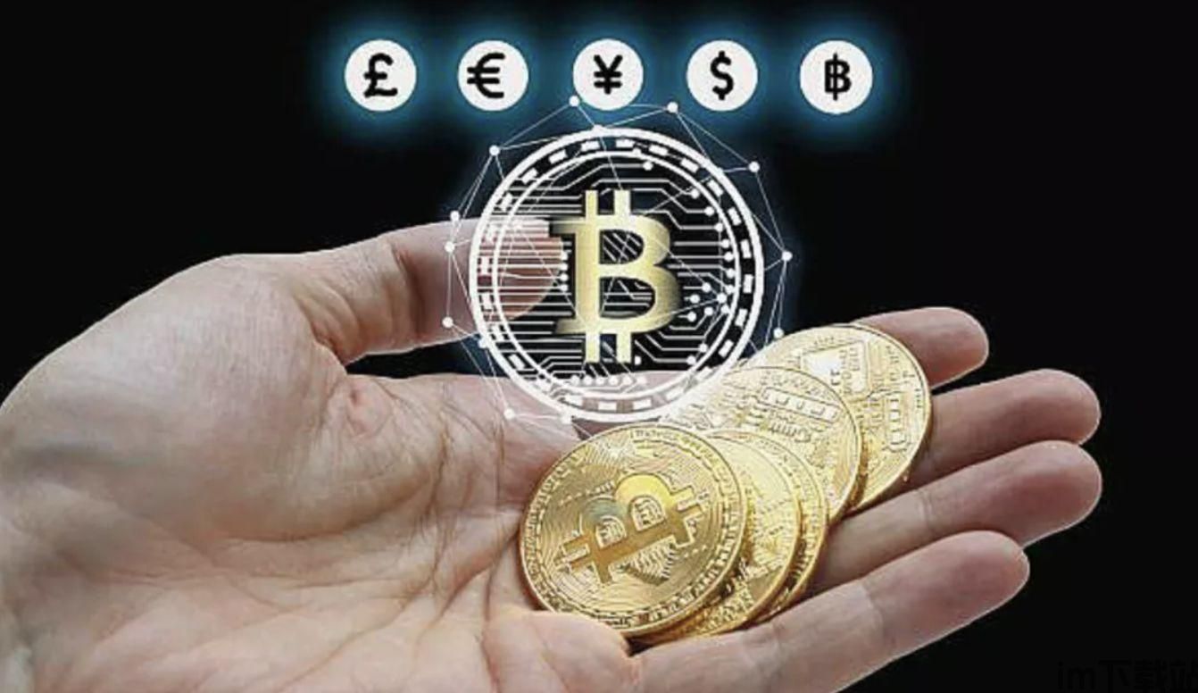 tp钱包bch-tp钱包薄饼下载