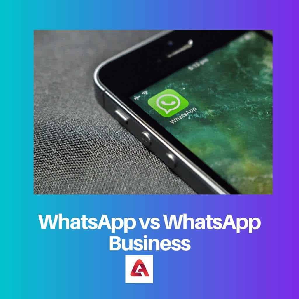 whatsapp拼读-whatsapp网页版登录