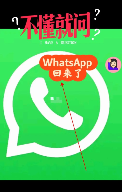 whatsapp中文版最新下载-whatsapp最新官方下载中文