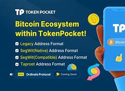 tokenpocket官方-国际抖音tiktok官网入口