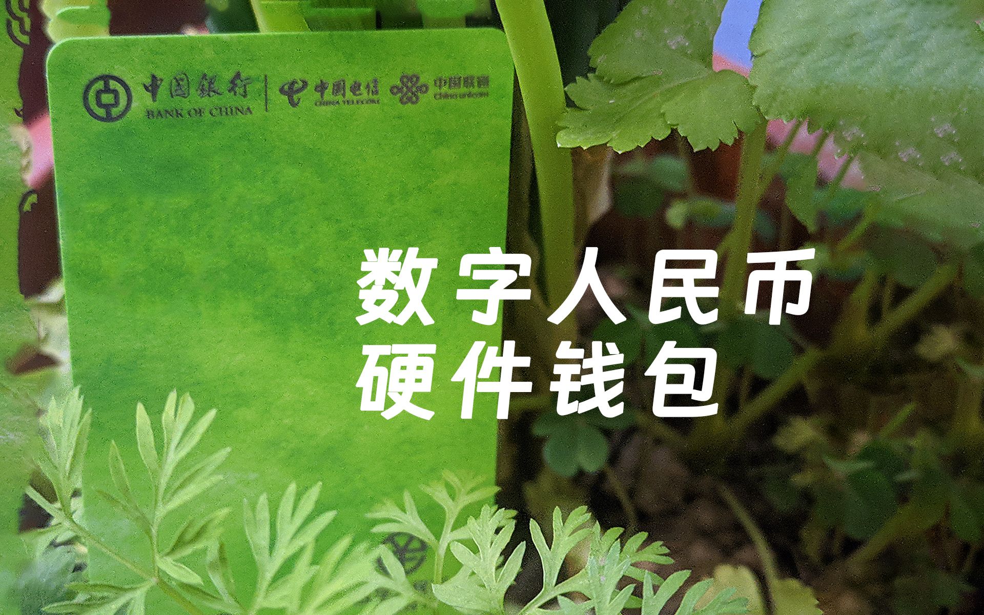 tp钱包pig币合约地址-tp钱包转账转到了合约地址