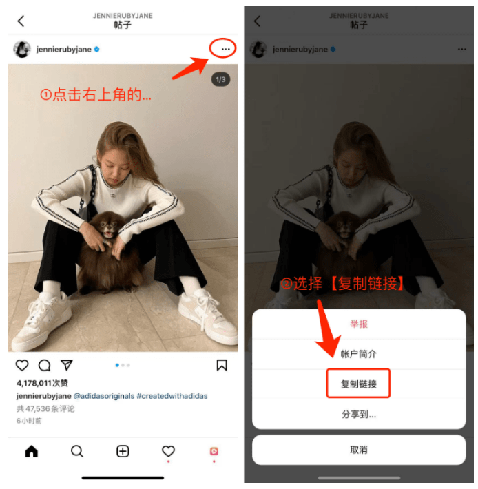 ins软件下载-ins软件下载华为版