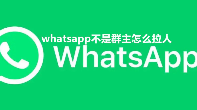 包含whatsapp怎样加入别人的群聊的词条