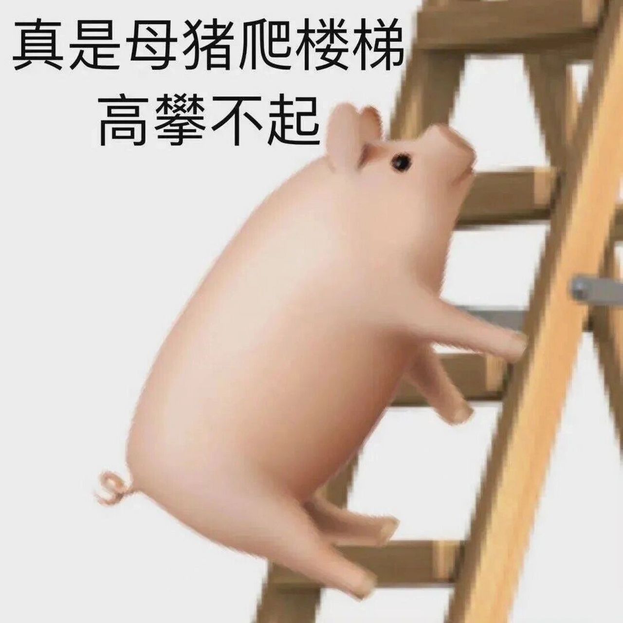 爬梯子的表情图-爬梯子的表情图片