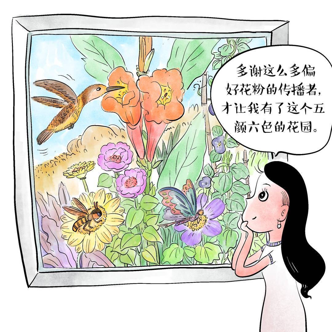 波长钱包-波长钱包能量包月