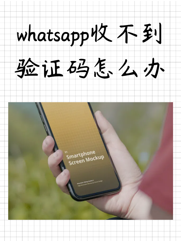 包含whatsapp注册收不到验证码的词条