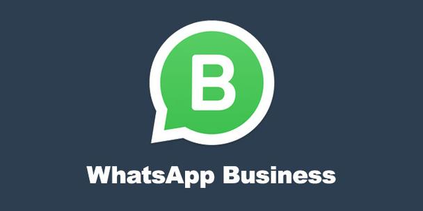 whatsapp安卓下载安装官方最新版-whatsapp安卓最新版官方网免费下载