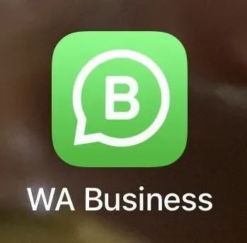 WhatsAPP官网-whatsapp官网下载