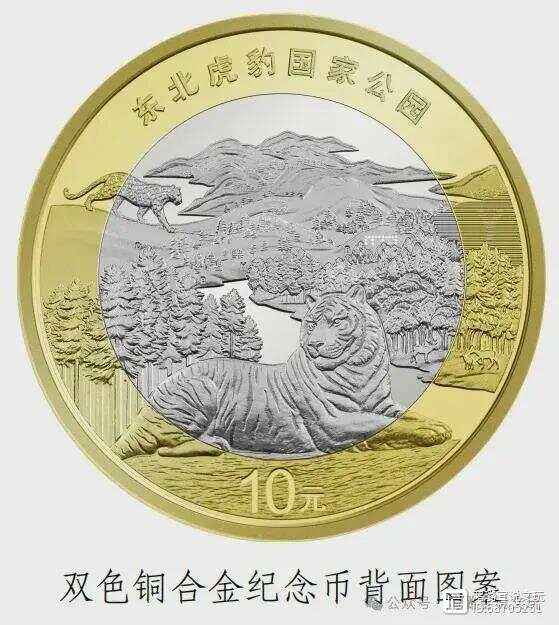 cbc公益币-17173com