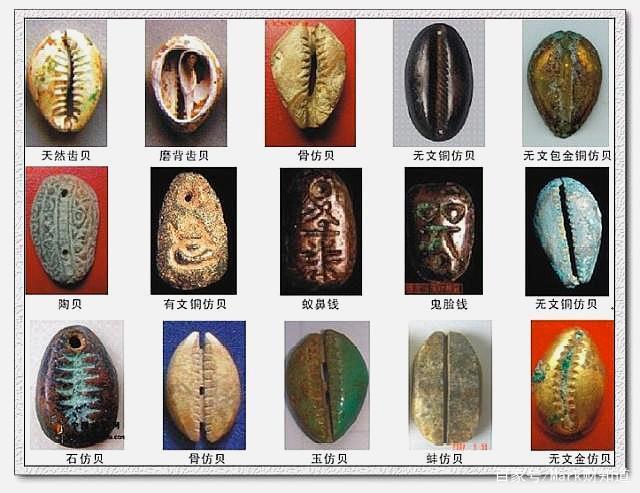 贝壳币-贝壳币怎么转给别人