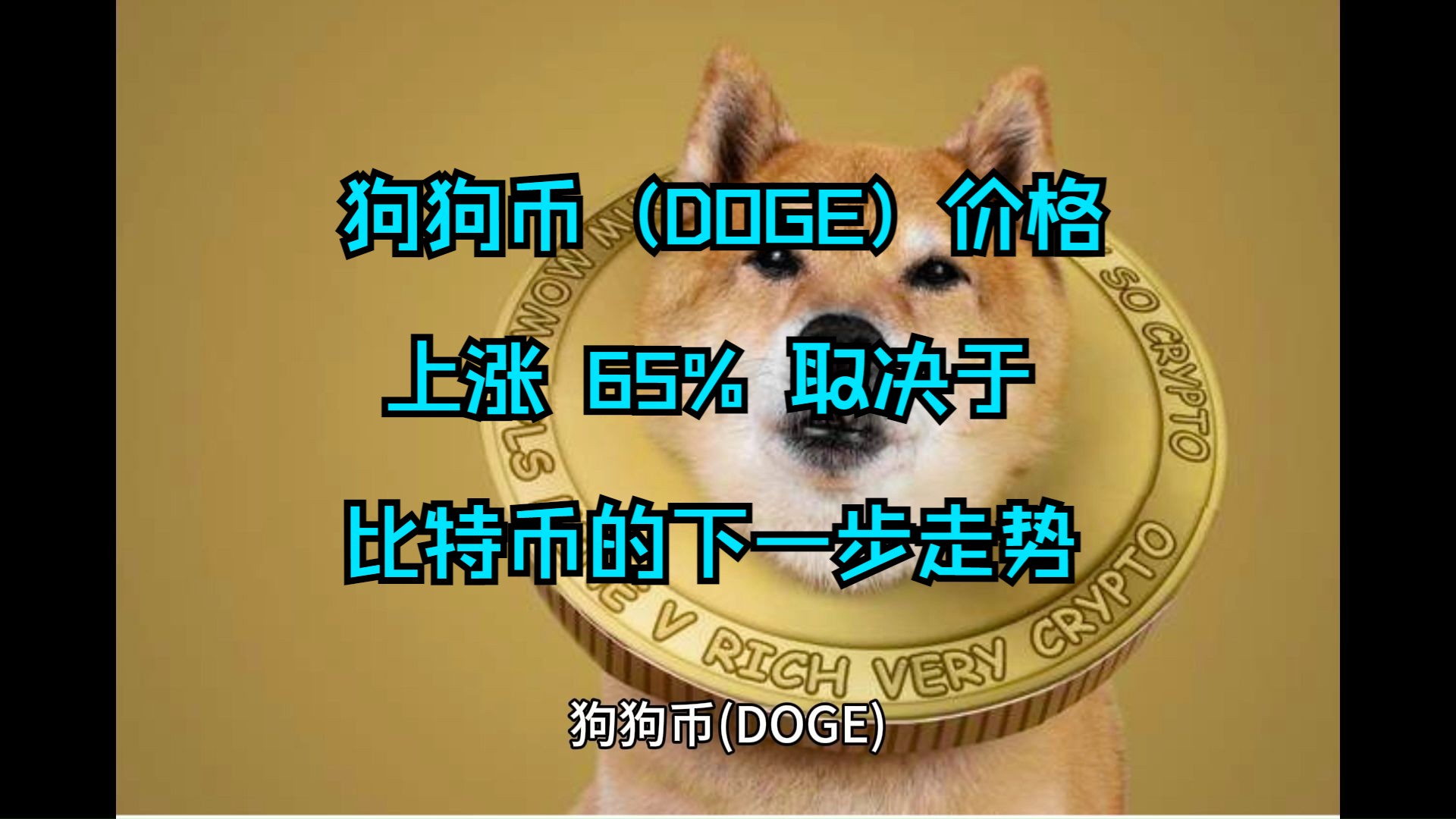 狗狗币官网,狗狗币简介-狗狗币dogecoin