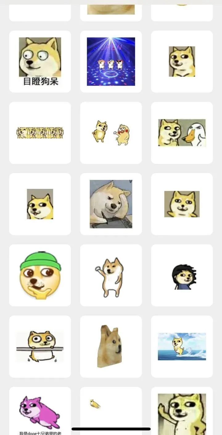 doge-doge币马斯克