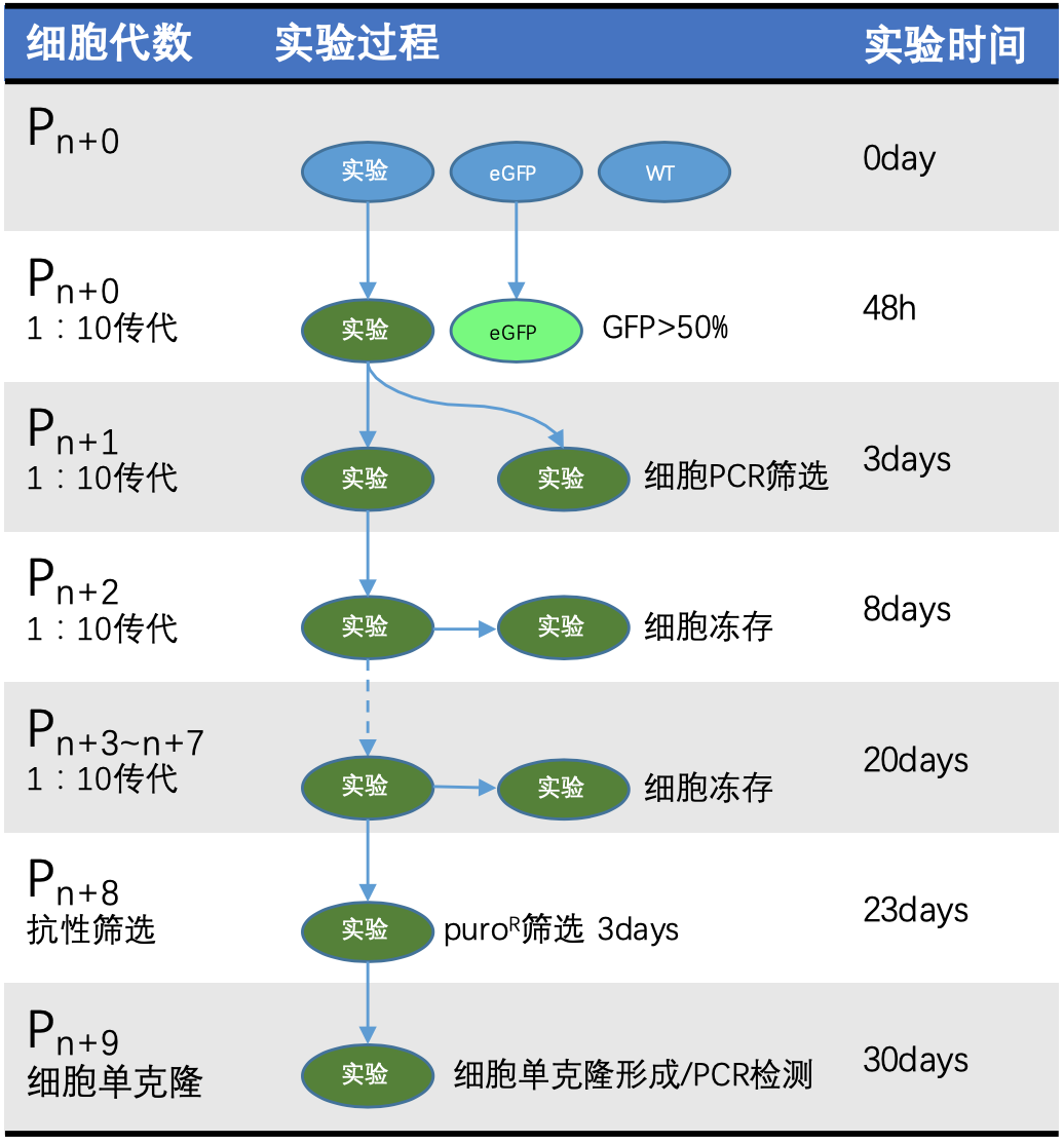 2023起飞vp加速器官网的简单介绍