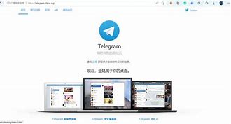 包含电报telegeram官网灰色的词条