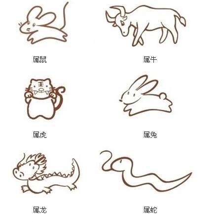半字打一最准确生肖-半代表什么生肖或数字