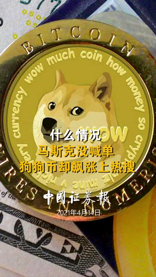 狗狗币一夜暴涨700倍-狗狗币2025会涨到多少