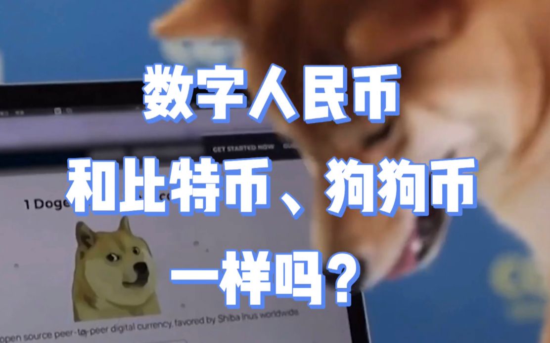 比特币是什么东西通俗一点-比特币是什么币,有什么作用